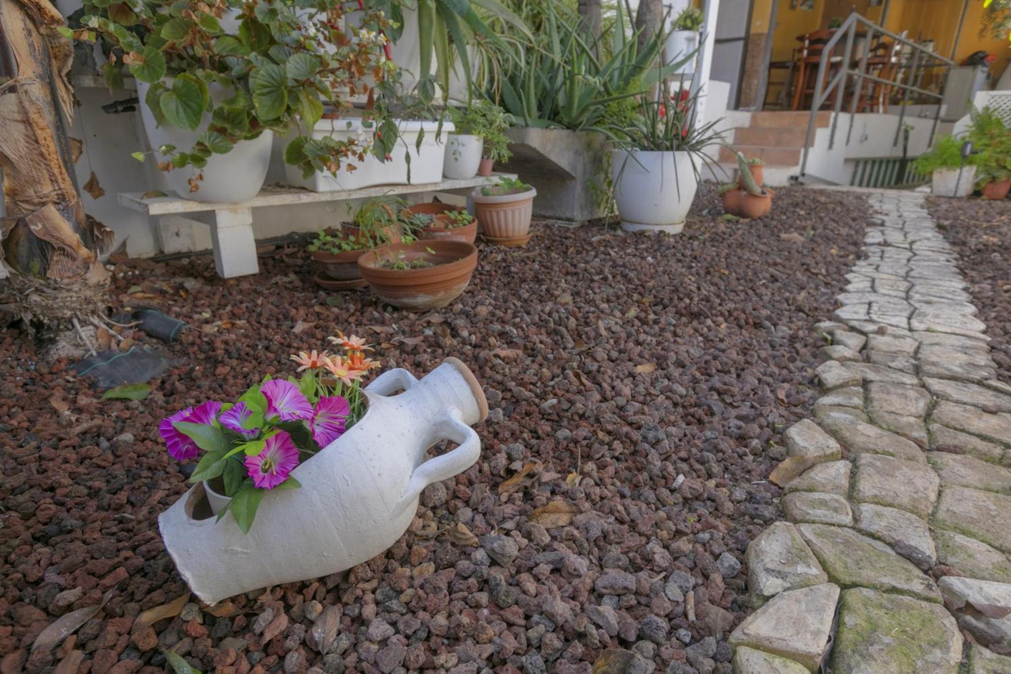Loft Cerca Del Mar Tenerife Punta Del Hidalgo Exteriér fotografie